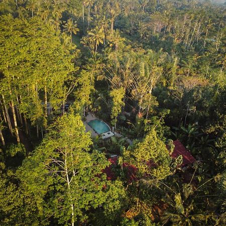 Daydream Lodge Tampaksiring Екстериор снимка