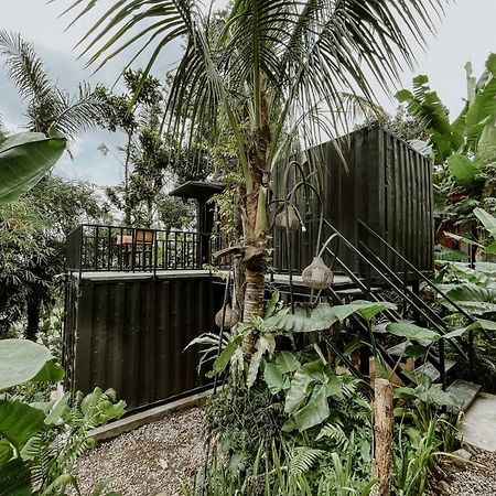 Daydream Lodge Tampaksiring Екстериор снимка