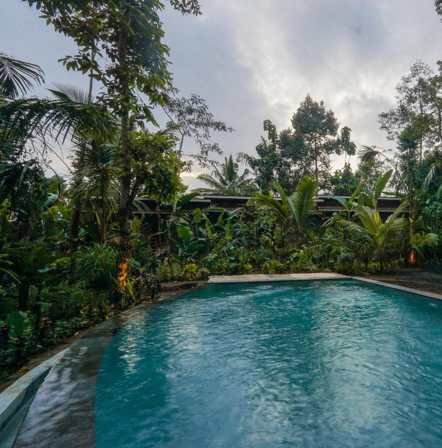 Daydream Lodge Tampaksiring Екстериор снимка