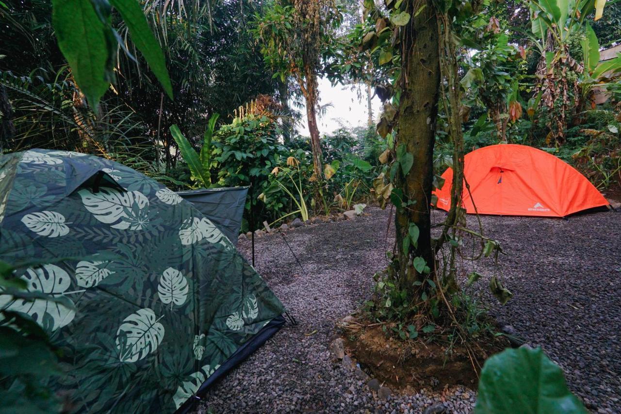 Daydream Lodge Tampaksiring Екстериор снимка