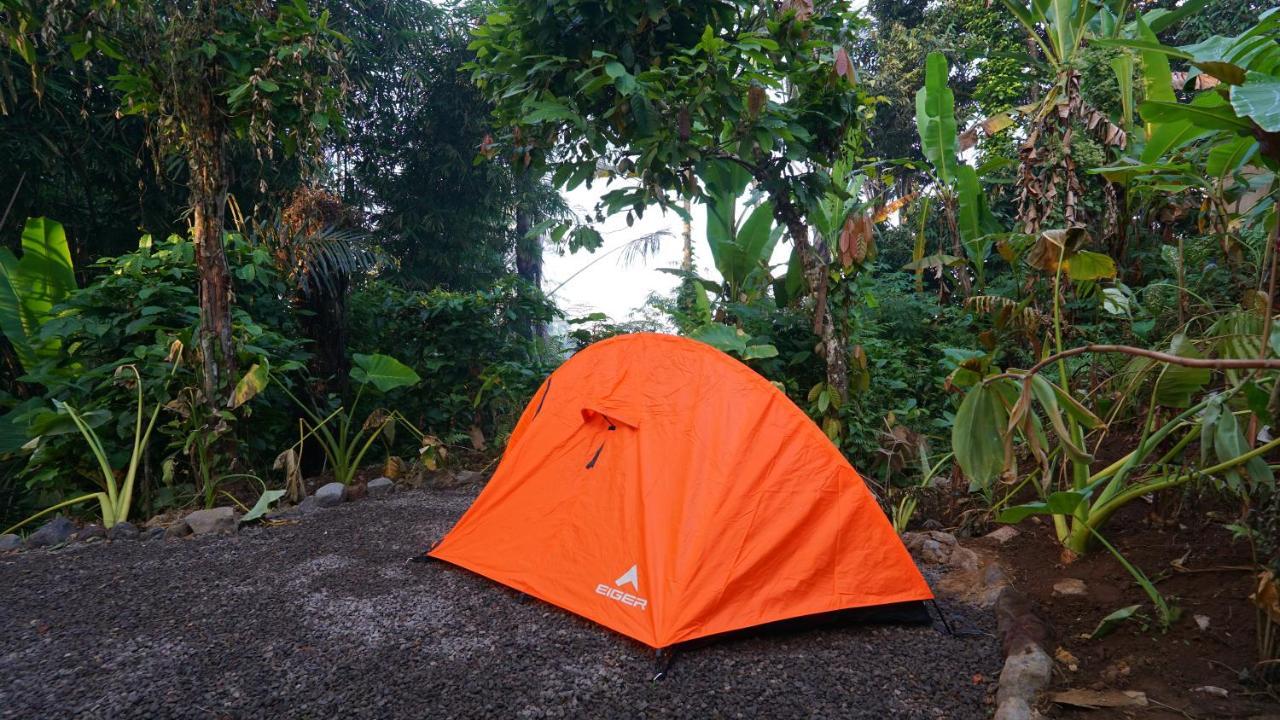 Daydream Lodge Tampaksiring Екстериор снимка