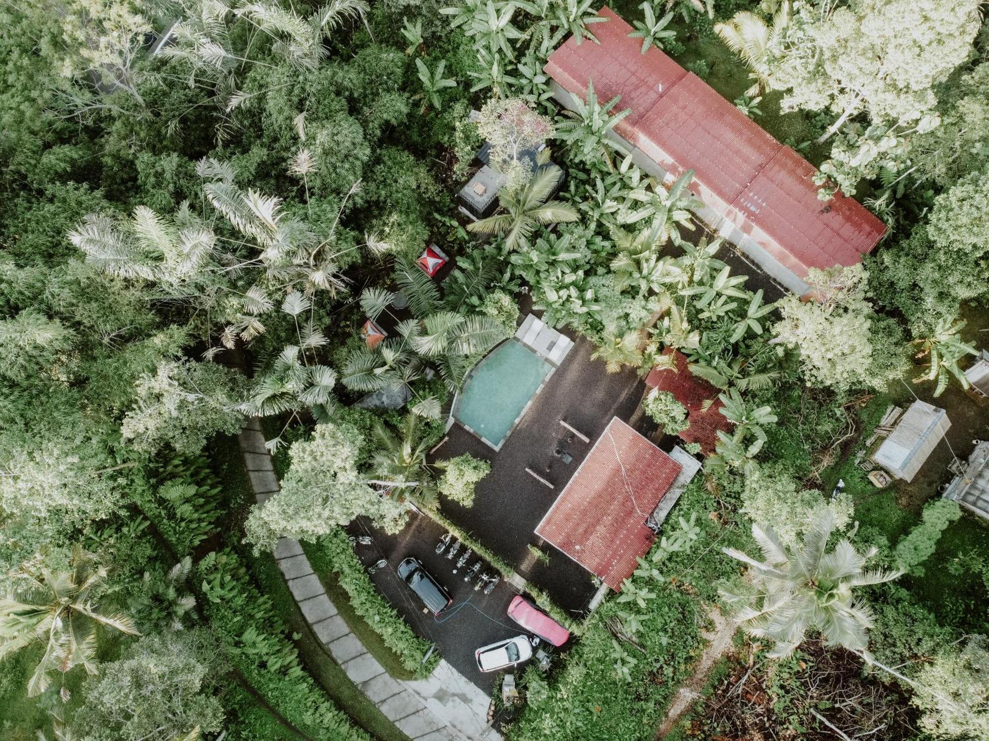 Daydream Lodge Tampaksiring Екстериор снимка