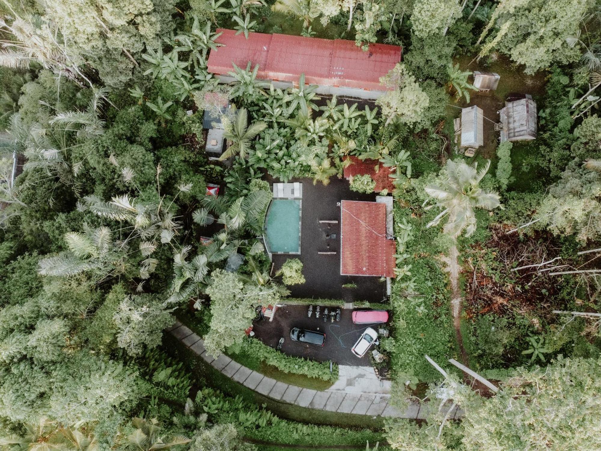 Daydream Lodge Tampaksiring Екстериор снимка